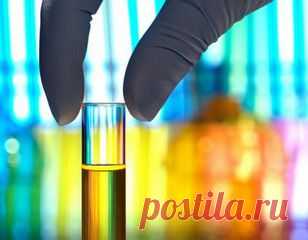 На Алтае разработали лекарство от туберкулеза | Блокнот фтизиатра