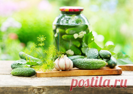 Приготовление малосольных и соленых хрустящих огурцов: рецепты - Вкусно с Любовью - медиаплатформа МирТесен