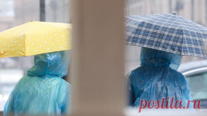 Из-за сильных осадков в Красноярском крае ввели режим ЧС. Первый вице-губернатор Красноярского края Сергей Пономаренко в своем Telegram-канале сообщил, что в регионе из-за обильных осадков во время уборочной кампании введен режим ЧС. "Из-за обилия дождей и переувлажнения почвы пострадал ...