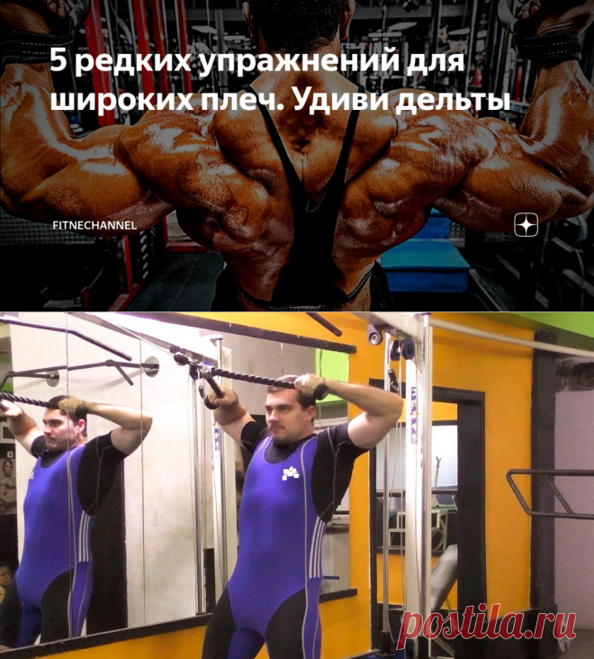 5 редких упражнений для широких плеч. Удиви дельты | fitnechannel | Яндекс Дзен
