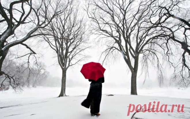 красный зонт