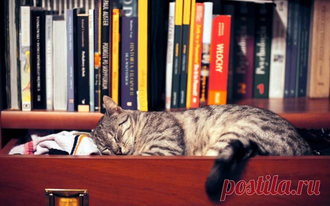 В библиотеке!