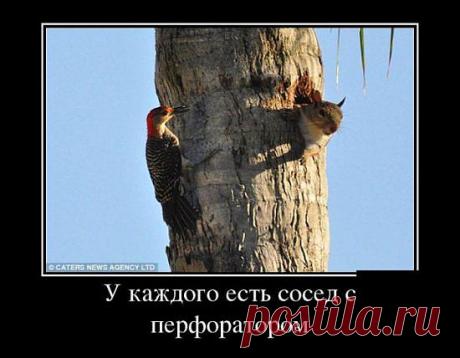 белки