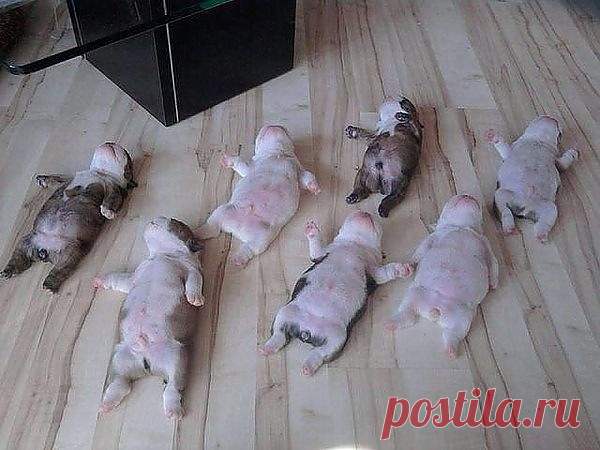 Мой Мир@Mail.Ru