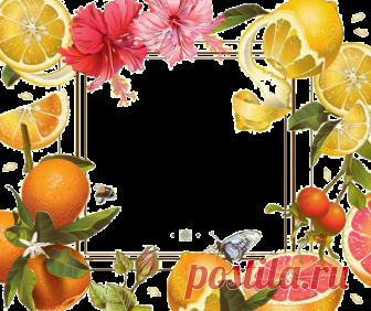 cadres,frame,rahmen,quadro,png      