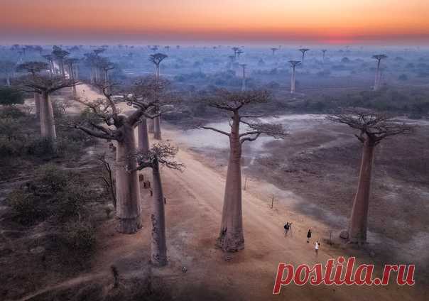 Из фотопутешествия на Мадагаскар. Снимал Михаил Воробьёв – nat-geo.ru/photo/user/9758