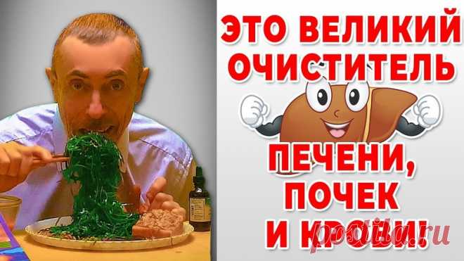 https://www.youtube.com/watch?v=3kNS9WcbFJQ

#великийочиститель #очистительпечени #очистителькрови #очистительпочек #печень #почки #кровь #виталийостровский