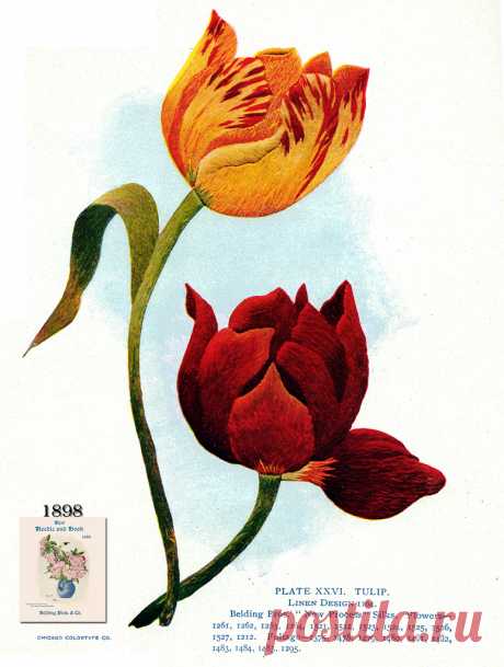 Belding Brothers XXVI 1898