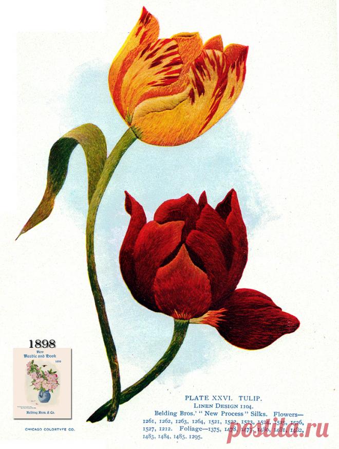 Belding Brothers XXVI 1898