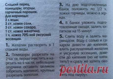 Заготовки. Ассорти под желатином.