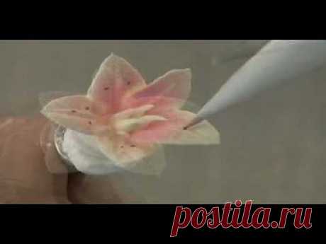 Торты, пирожные | Записи в рубрике Торты, пирожные | Дневник Лебедевой Ирины