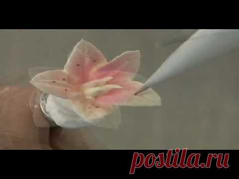 Торты, пирожные | Записи в рубрике Торты, пирожные | Дневник Лебедевой Ирины