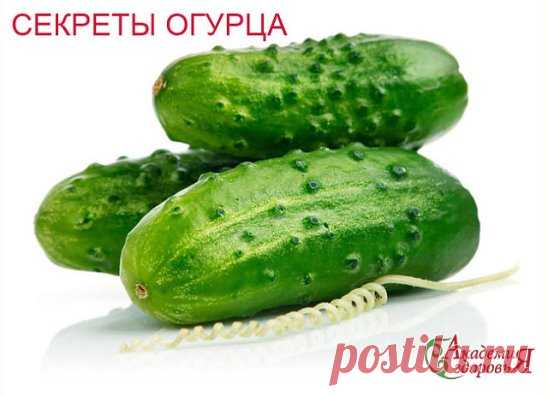 (51) Одноклассники