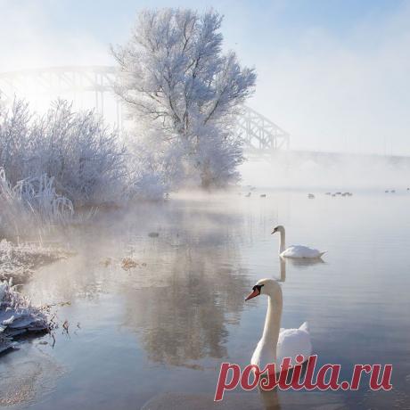 Восхитительные зимние пейзажи.