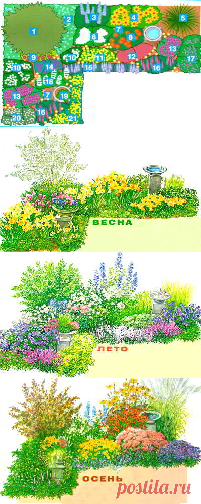 Клумба непрерывного цветения, всесезонный цветник