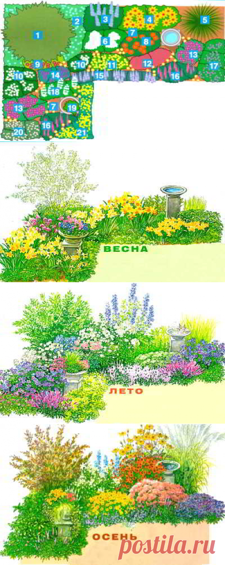 Клумба непрерывного цветения, всесезонный цветник