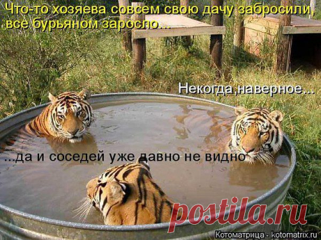 Однако....