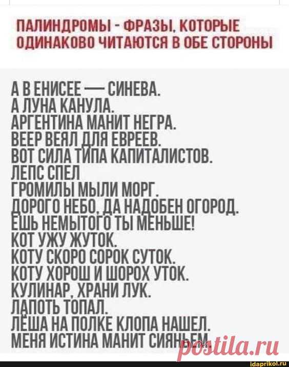 ПАЛИНДРОМЫ - ФРАЗЫ, КОТОРЫЕ ОДИНАКОВО ЧИТАЮТСЯ В ОБЕ СТОРОНЫ - СИНЕВА. АРГЕНТИНА МАНИТ НЕГРА. ВЕЕР ВЕ ПА КАПИТАЛИСТОВ. ОГ НЫШЕ! РОС СОРОК СУТОК. КОТУ ХОРОШ И ШОРОХ УТОК. КУЛИНАР, ХРАНИ ЛУК. ТОПАЛ. ЛЕША НА ПОЛКЕ КЛОПА НАШЕЛ. МЕНЯ ИСТИНА МАНИТ СИЯНЬЕМ. - АйДаПрикол