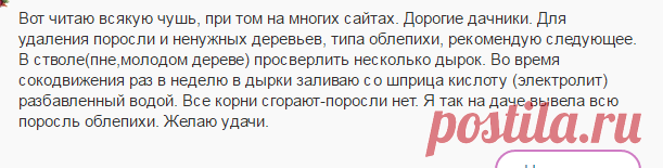 Как избавиться от сливовой поросли на садовом участке