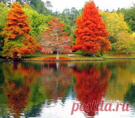 Я ТВОЯ КОШЕЧКА КАРТИНКИ: 32 тыс изображений найдено в Яндекс.Картинках