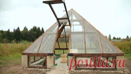 Топ-10 самых опасных и ядовитых грибов