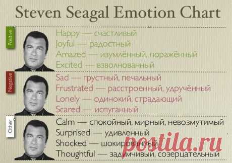 Вежливые фразы