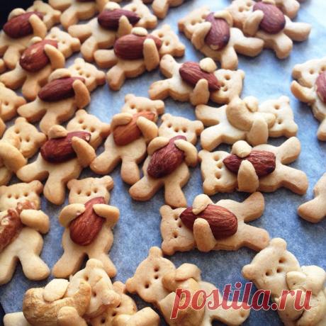 These Nut-Hugging Bear Cookies Are Almost Too Cute To Eat | Bored Panda......печенье медведи с орехами