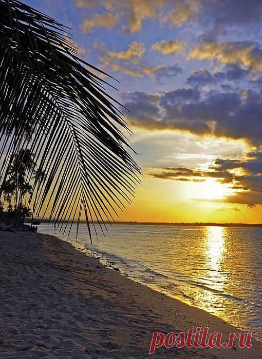 Puerto Rico Sunset 3 
There's nothing like a walk on the beach at sunset!  |  Pinterest • Всемирный каталог идей