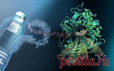 Сколько лет на самом деле разлагается пластик? И чем на самом деле опасен этот процесс?