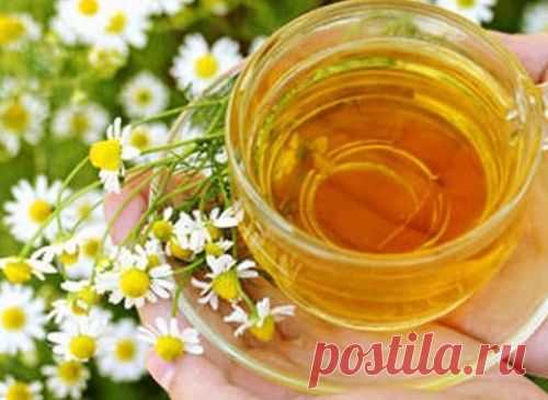 Ученые: Ромашковый чай укрепляет женское здоровье