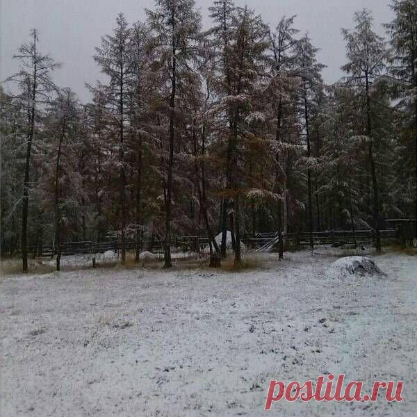 Снег выпал рядом с Якутском | News.Ykt.Ru: служба новостей