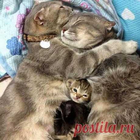 третьим буду