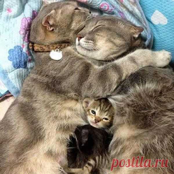 третьим буду