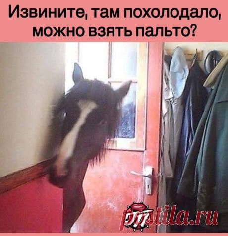 Запись на стене