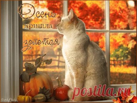 gif - Самое интересное в блогах