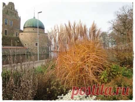 Violaemma Siren - Violaemma Sirens Fotos | Facebook