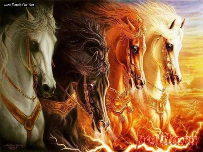 Год Лошади.  -   Chronik-Fotos - The Storybook Of Dreams | Facebook