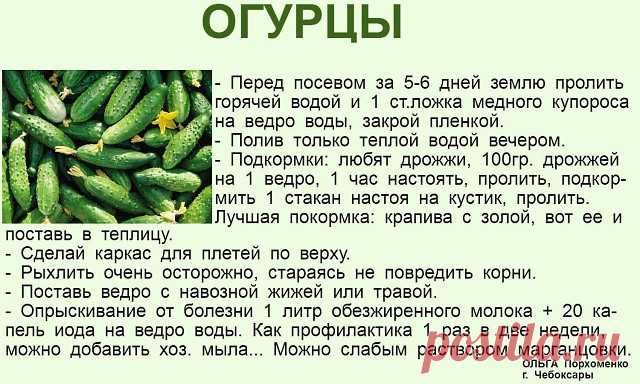 ✔ ПОЛЕЗНЫЕ СОВЕТЫ : 
✪ Сохраните чтобы не потерять.