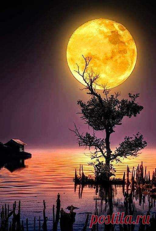 Գիշերը ամբողջ հիվանդ, խելագար
Ես երազեցի արևի մասին:
Շուրջս ոչ մի ձայն ու շշուկ չկար.
Գունատ էր շուրջս` գիշեր ու լուսին:

Ես երազեցի արևի ոսկին,
Տենչացի նրա հրաշքը խնդուն`
Ուզեցի սիրել շշուկն իմաստուն`
Արևանման, արնավառ խոսքի,-

Բայց շուրջս այնպես գունատ էր, տկար.
Խոսքեր չկային ու արև չկար...

(Չարենց)