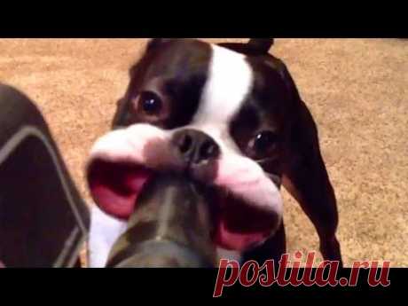 TOTALLY ACCURATE BATTLE SIMULATOR! | Doovi