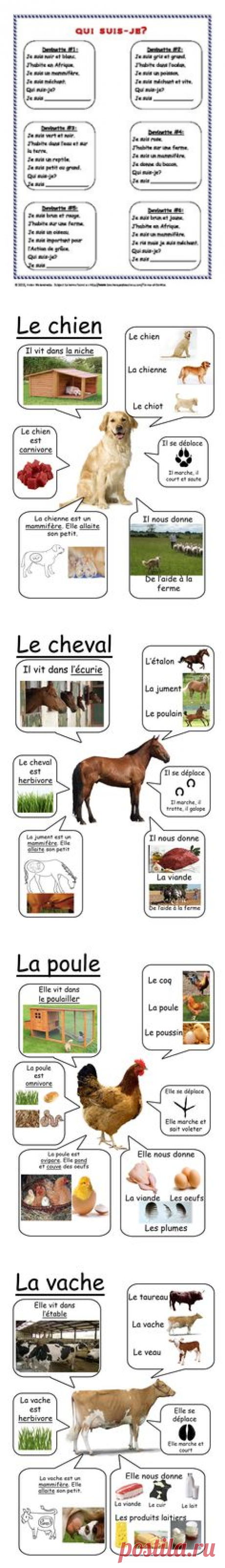 (1) La lecture pour les debutants: les mini descriptions des animaux mystères. | Français