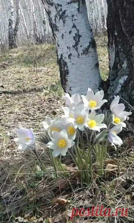 Красота природы.!