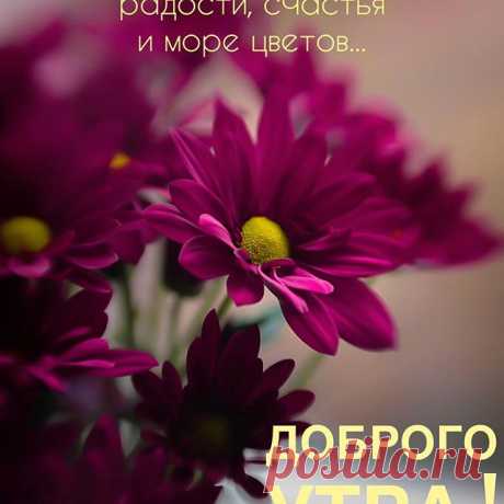 Photo by Марина Алекминская in Khabarovsk, Russia. Image may contain: plant, flower and nature, text that says 'нежных улыбок, ласковых слов, радости, счастья и море цветов... доброго утра'