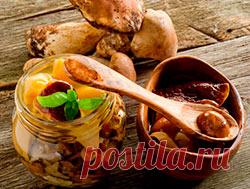 Заготовка опят на зиму: как солить (мариновать), сушить и делать икру, приготовить замороженные опята + рецепт с фото » eТеплица