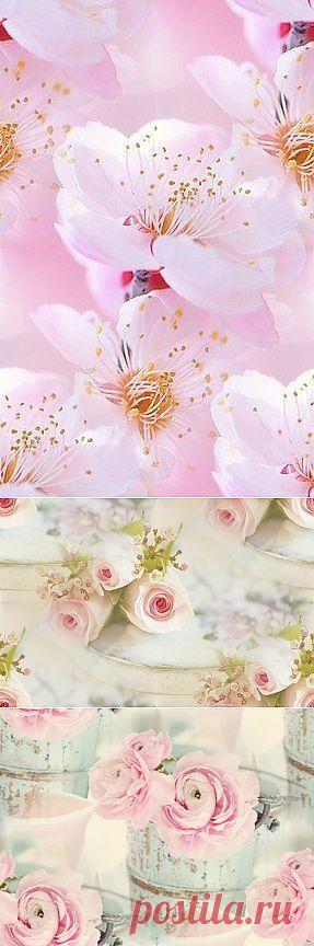 Нежные фоны — Прекрасные фоны для дневников