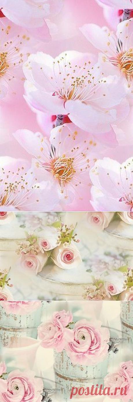 Нежные фоны — Прекрасные фоны для дневников