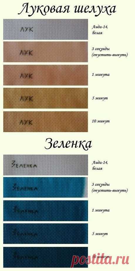Окраска тканей.