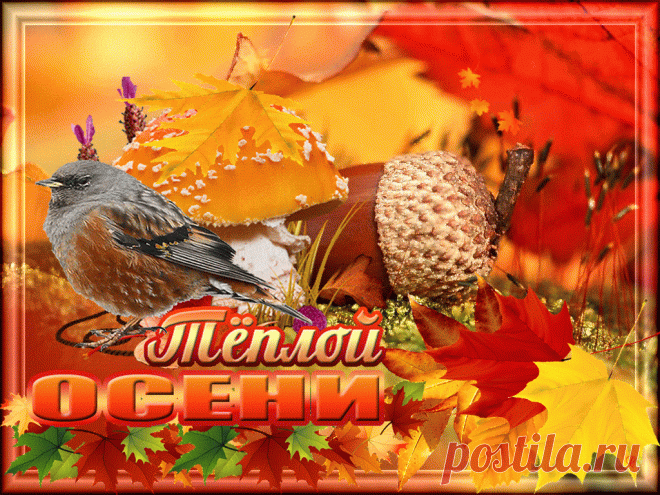 Тёплой осени вам! - Плейкасты