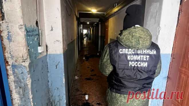 Пьяный российский подросток поджег бездомного после ссоры. В Долинске Сахалинской области возбуждено уголовное дело в отношении 16-летнего подростка, молодой человек поджег бездомного мужчину в коридоре общежития. Об этом сообщает СУ СК РФ региона в Telegram-канале. Инцидент произошел 7 января в ...