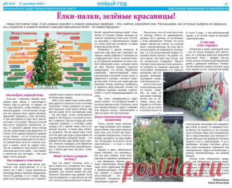 Как выбрать елку и сохранить